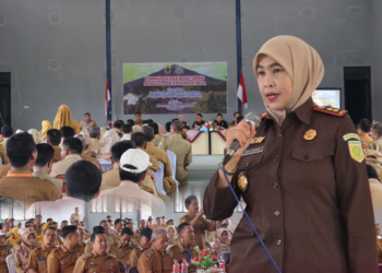 Bang Deja: Pembinaan Dan Monitoring Pengelolaan Keuangan dan Aset Desa pada Kecamatan Pemalang, Taman dan Petarukan