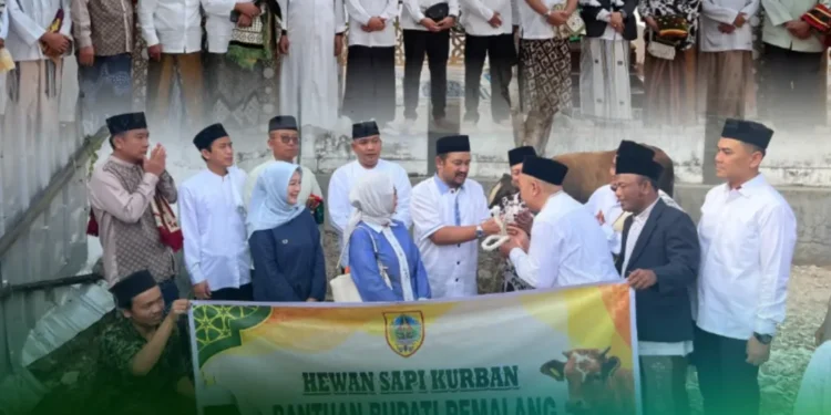 Shalat Idul Adha dan penyerahan hewan kurban 1447 H/2026 M.