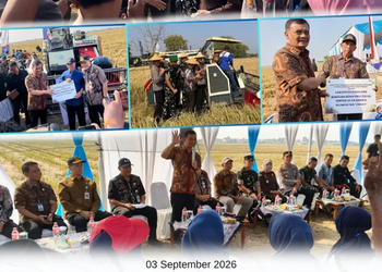Panen Raya Padi bersama Gubernur Jawa Tengah