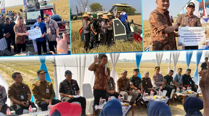 Panen Raya Padi bersama Gubernur Jawa Tengah